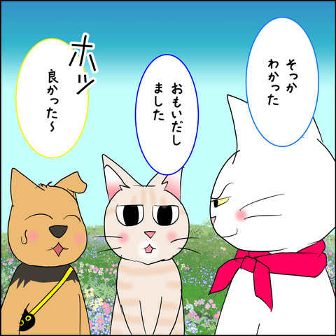 mugitabix034c