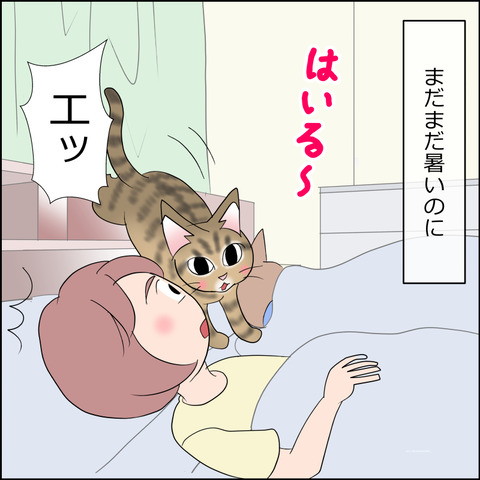 あんこ＆麦STORY2339a