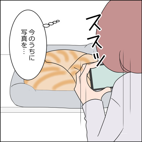 あんこ＆麦STORY2439b