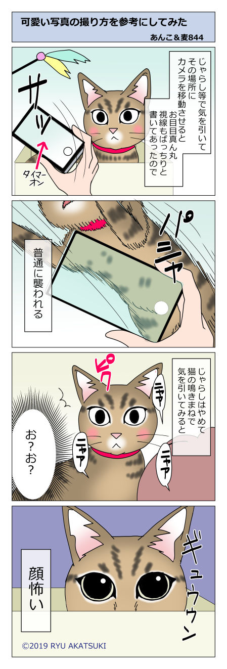 あんこ&麦STORY844