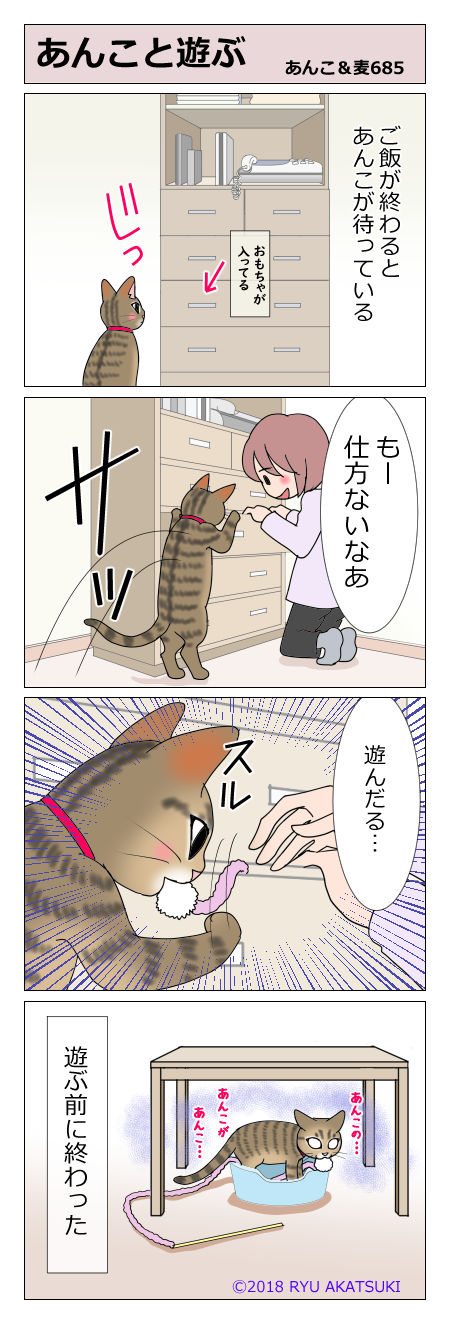 あんこ&麦STORY685