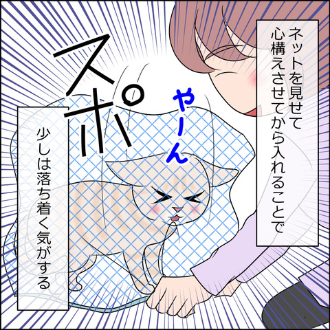 あんこ&麦kenko95c