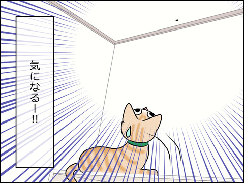 あんこ＆麦STORY1587d