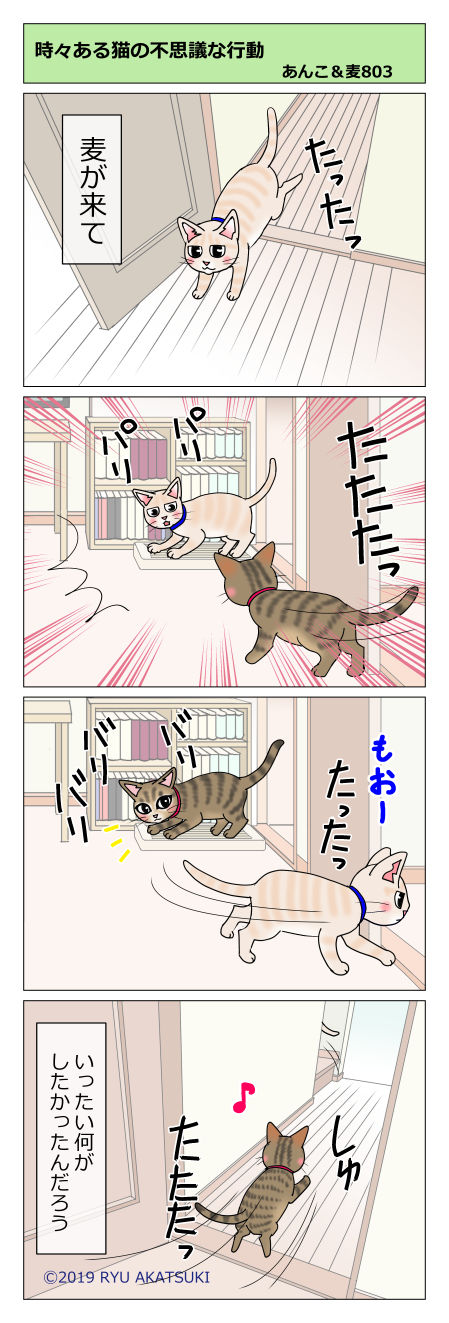 あんこ&麦STORY803