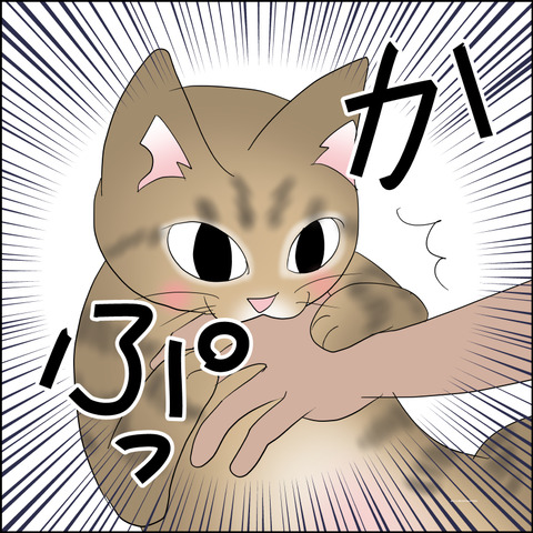 あんこ&麦STORY2347c