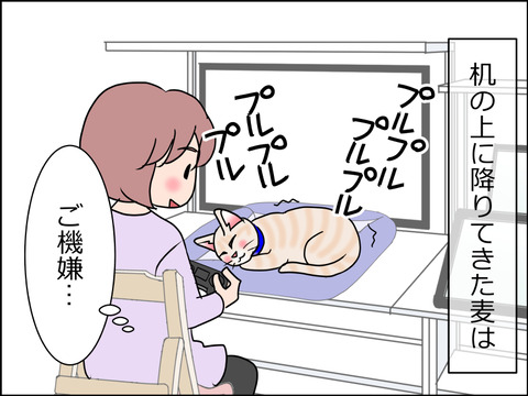あんこ&麦STORY1463a