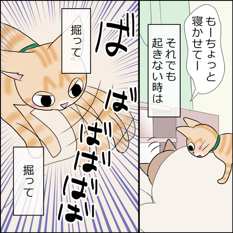 あんこ＆麦STORY1803c