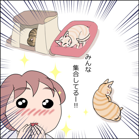 あんこ&麦STORY2382c