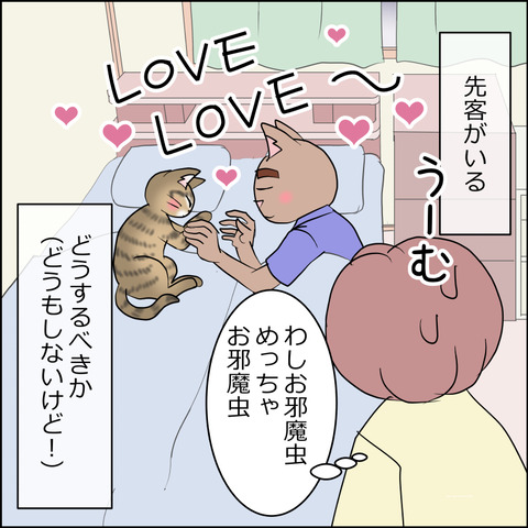 あんこ&麦STORY2470d