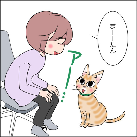 あんこ&麦STORY2021c