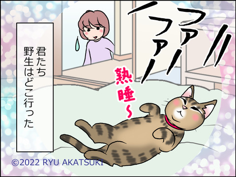 あんこ&麦STORY1634d