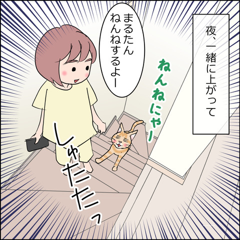 あんこ＆麦STORY2488b