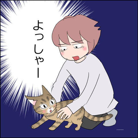 hinan003c