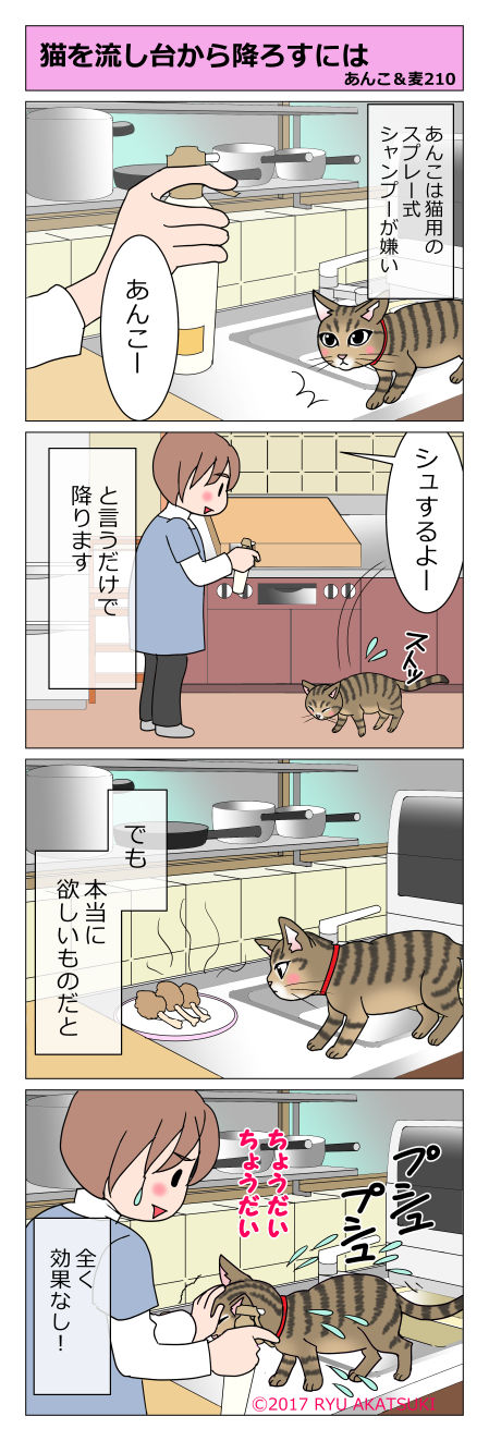 あんこ&麦STORY210