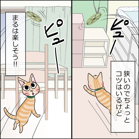 あんこ＆麦STORY1717b