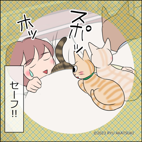 あんこ&麦STORY1885d