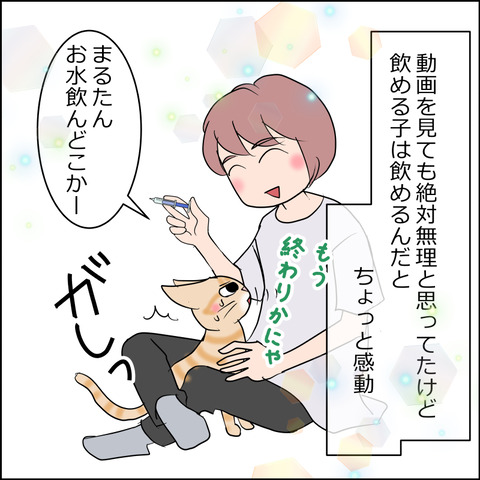 あんこ&麦kenko161a