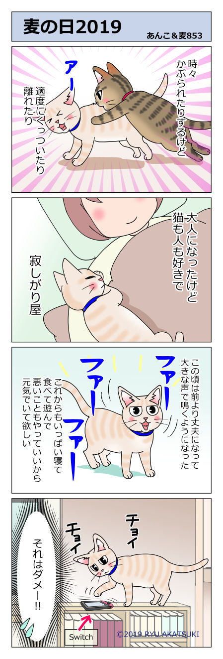 あんこ&麦STORY853