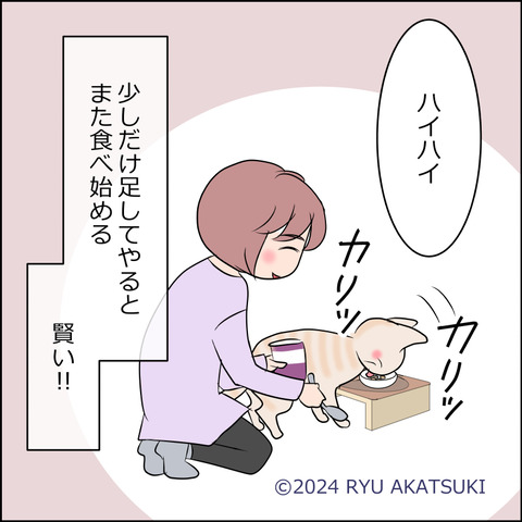 あんこ＆麦kenko97d