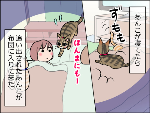 あんこ&麦STORY1546a