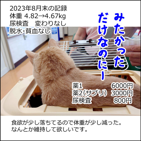 あんこ＆麦kenko82e