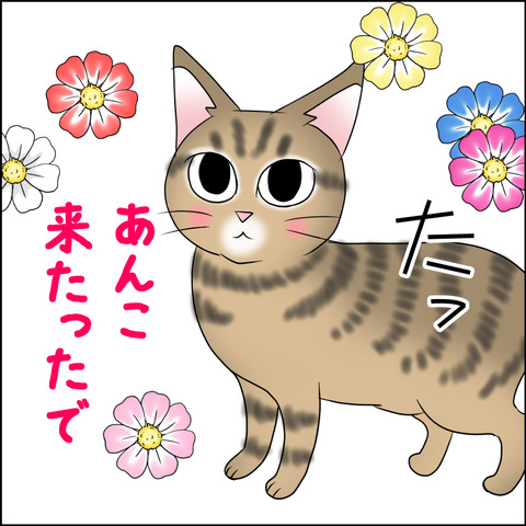 あんこ＆麦STORY2027b