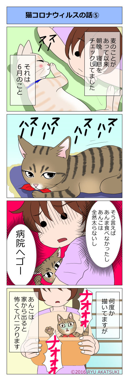 あんこ&麦kenko05