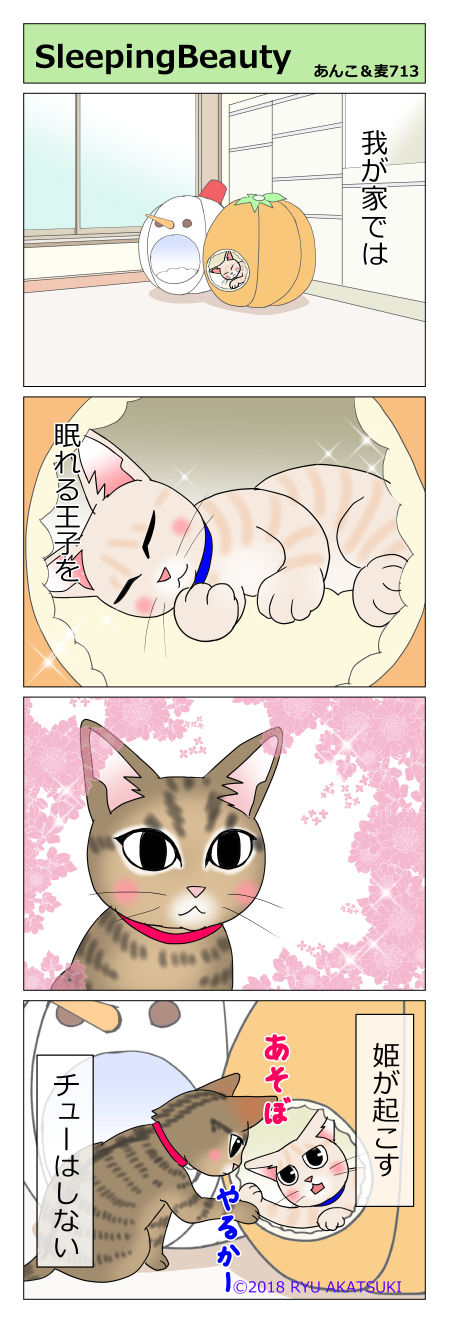 あんこ&麦STORY713