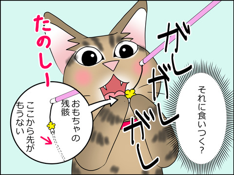 あんこ&麦STORY1456c