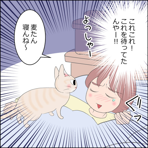 あんこ＆麦STORY2358b
