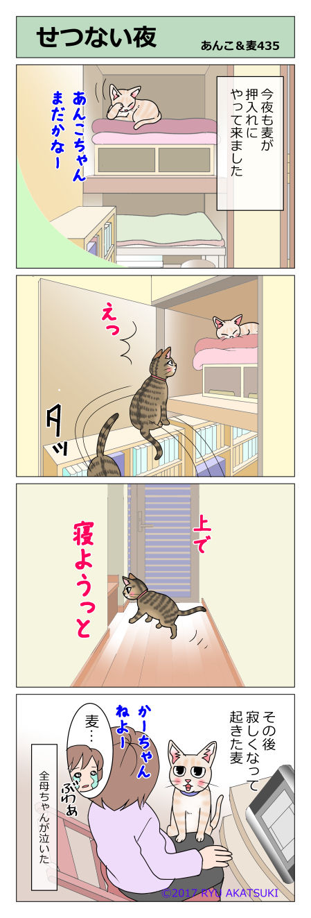 あんこ&麦STORY435