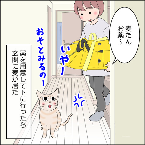 あんこ&麦STORY2332a