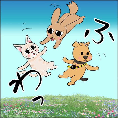 mugitabix019d
