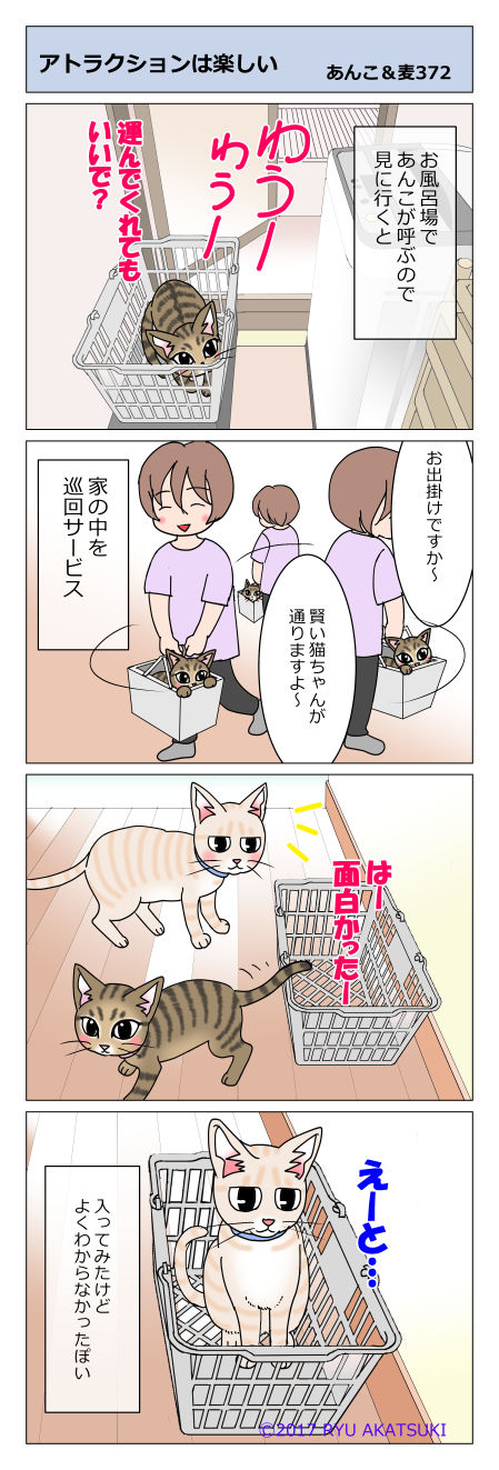 あんこ&麦STORY372