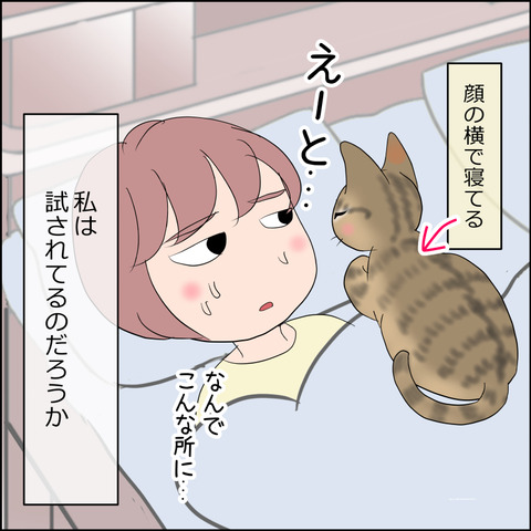 あんこ＆麦STORY2339d