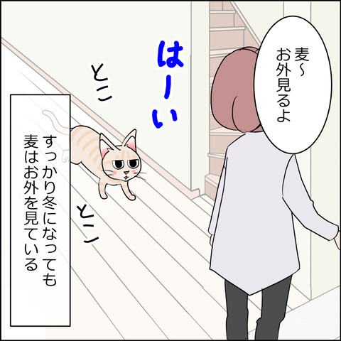 あんこ＆麦STORY2410a