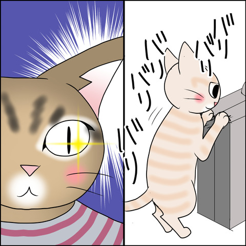 あんこ＆麦STORY1718c