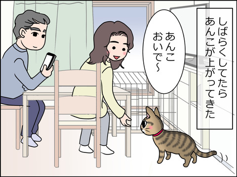 あんこ&麦STORY1520a