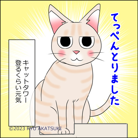 あんこ＆麦kenko86d