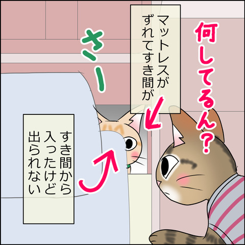 あんこ＆麦STORY1694e
