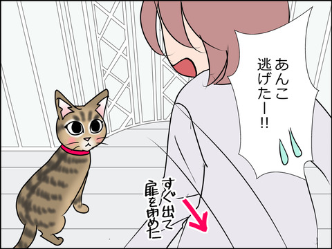 あんこ&麦STORY1514b