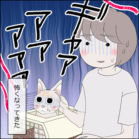 あんこ&麦STORY2317d