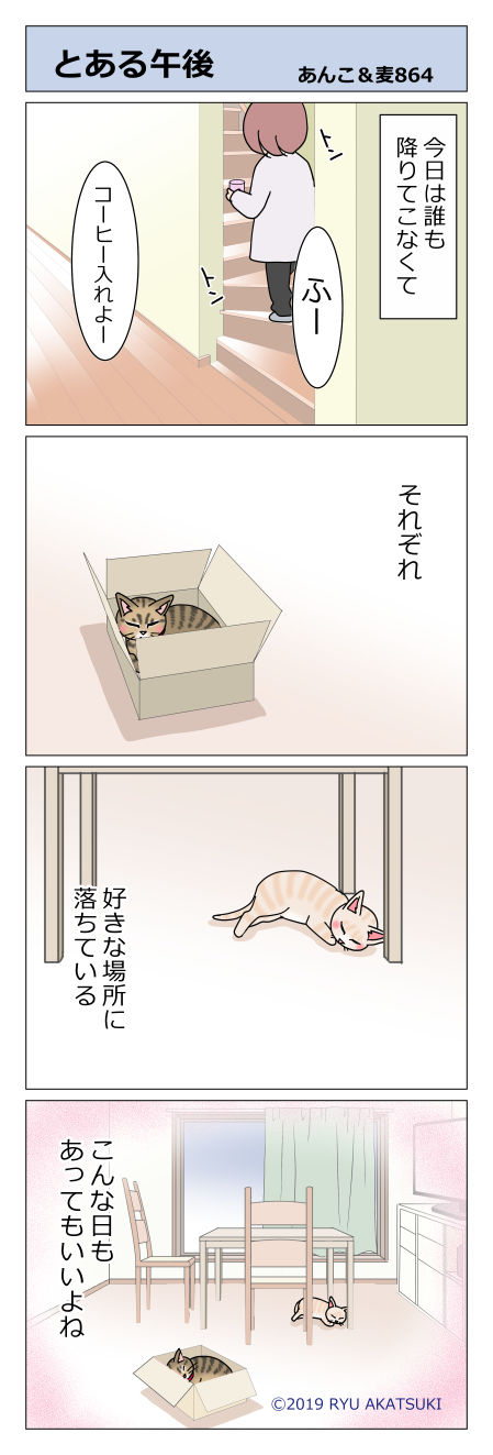 あんこ&麦STORY864