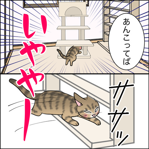 あんこ＆麦STORY2131c