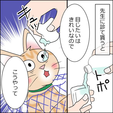 あんこ＆麦kenko56a