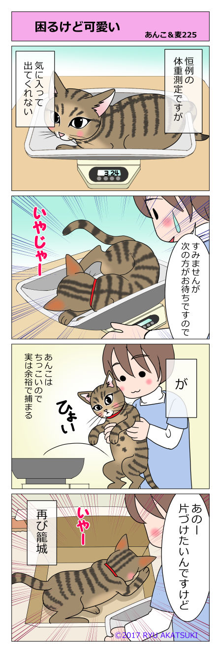 あんこ&麦STORY225