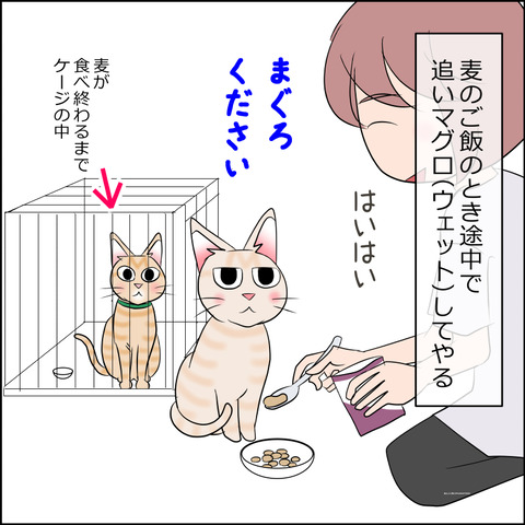 あんこ&麦STORY2137a