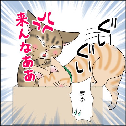 あんこ＆麦STORY1941d