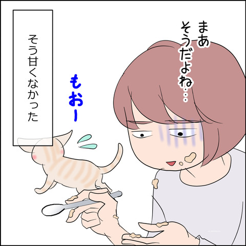 あんこ＆麦kenko110f