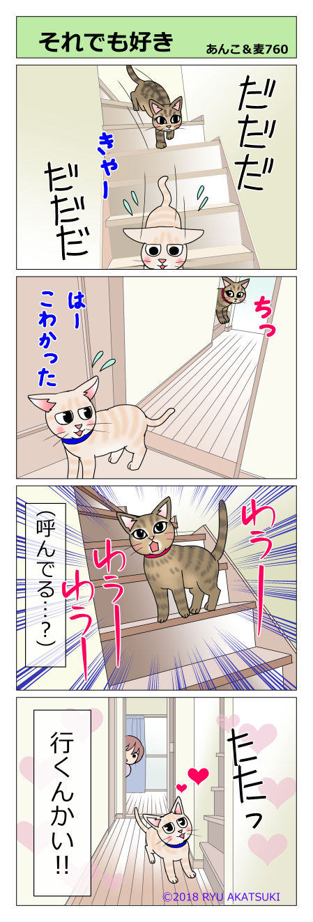 あんこ&麦STORY760